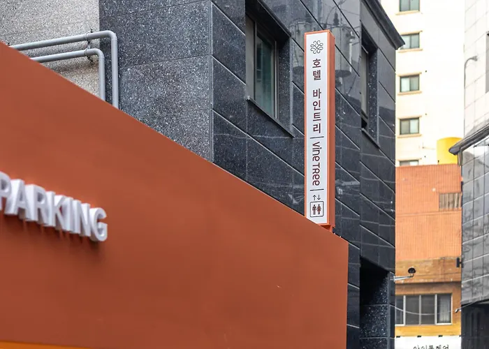 Vinetree Boutique Сеул
